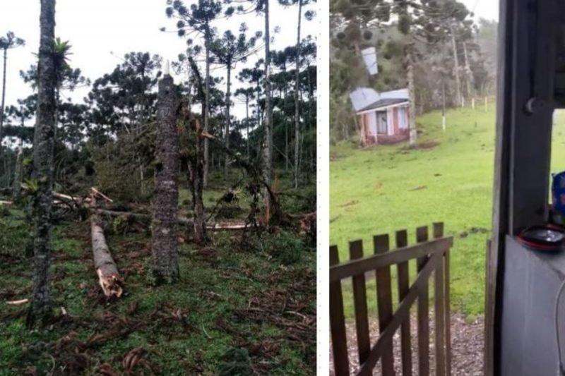 &Aacute;rvores foram derrubadas e casa destelhada – Foto: Defesa Civil/Divulga&ccedil;&atilde;o/ND