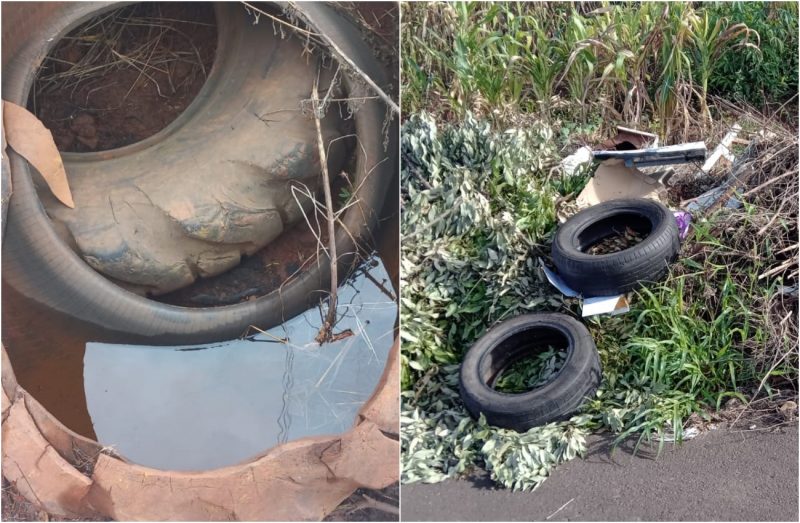 Munic&iacute;pio vem adotando todas as medidas necess&aacute;rias para evitar a prolifera&ccedil;&atilde;o do Aedes Aegypti. – Foto: Prefeitura de Xanxer&ecirc;/Divulga&ccedil;&atilde;o/ND