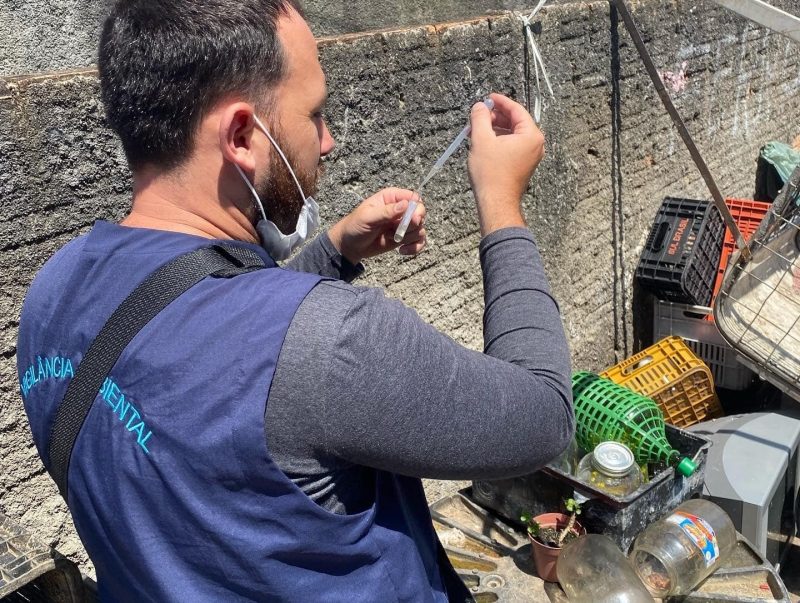 Palho&ccedil;a decretou situa&ccedil;&atilde;o de emerg&ecirc;ncia em sa&uacute;de p&uacute;blica por conta da dengue – Foto: Divulga&ccedil;&atilde;o/Prefeitura de Palho&ccedil;a/Arquivo ND