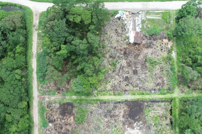 Imagens a&eacute;reas mostram vegeta&ccedil;&atilde;o derrubada nos terrenos – Foto: Prefeitura de Itapo&aacute;/Divulga&ccedil;&atilde;o/ND