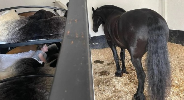 J&aacute; pensou em dormir ao lado de um cavalo? Basta ter R$ 2.240 para gastar – Foto: REPRODU&Ccedil;&Atilde;O/THEFRIESIANEXPERIENCE.ORG/STABLE-STAYS