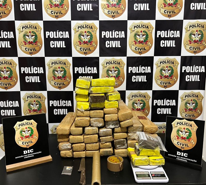45 kg of drugs were found in a couple under investigation for links to drug trafficking in Blumenau this Friday (24) – Photo: Blumenau Civil Police/Disclosure/ND