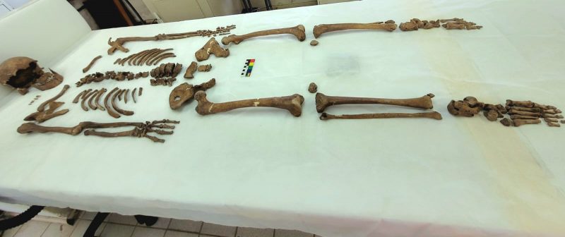 Homens do Sambaqui: quem foram os primeiros habitantes de Florianópolis?