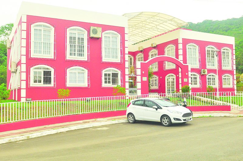 Jardim Bot&acirc;nico de S&atilde;o Jos&eacute; oferece v&aacute;rias oficinas – Foto: Gabriel Lain/Divulga&ccedil;&atilde;o/ND