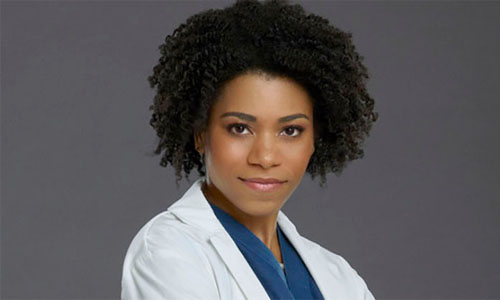 Maggie Pierce encerrará sua história em 'Grey's Anatomy' 