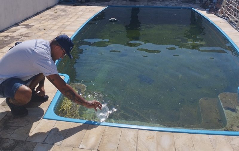 A man inspects a possible dengue outbreak in a pool of stagnant water.