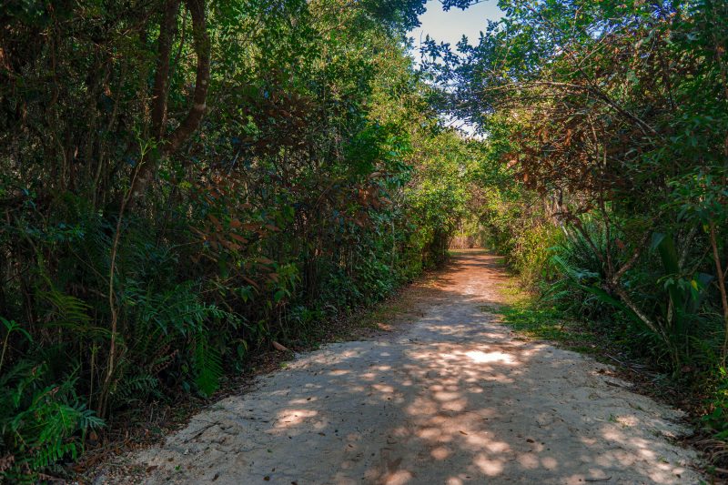 Parque Natural Raimundo Gon&ccedil;alez Malta, em Balne&aacute;rio Cambori&uacute; – Foto: Alfabile/Prefeitura Municipal de Balne&aacute;rio Cambori&uacute;/Divulga&ccedil;&atilde;o (6)