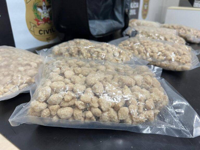 Homens s&atilde;o presos em flagrante no Terminal Rita Maria em Florian&oacute;polis – Foto: PCSC/Divulga&ccedil;&atilde;o/ND