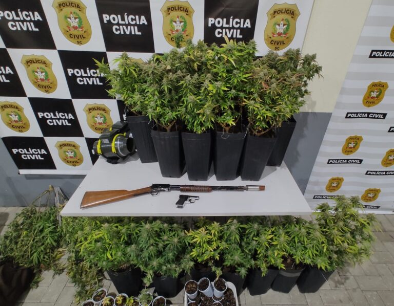 Estufa era usada para cultivo de maconha dentro de resid&ecirc;ncia – Foto: Pol&iacute;cia Civil/Reprodu&ccedil;&atilde;o/ND