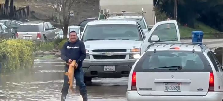 Homem pegou o peixe com as pr&oacute;prias m&atilde;os – Foto: Reprodu&ccedil;&atilde;o/@Mr_JCE/ND