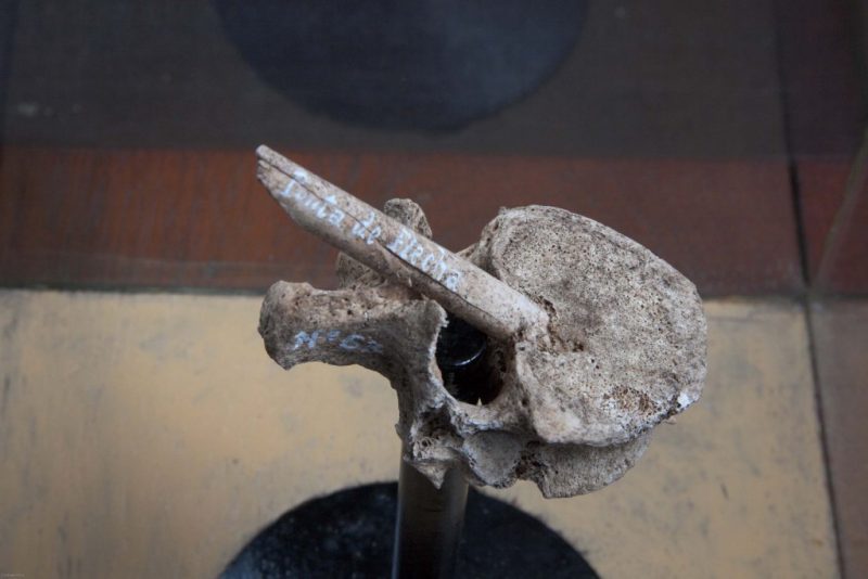 Al&eacute;m da cer&acirc;mica, as mulheres da &eacute;poca eram respons&aacute;veis pela constru&ccedil;&atilde;o de ferramentas para a ca&ccedil;a, coleta e tecelagem dos povoados – Foto: Museu do Homem de Sambaqui Padre Jo&atilde;o Alfredo Rohr/ Divulga&ccedil;&atilde;o/ ND