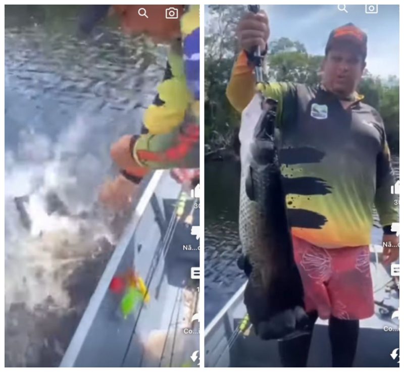 Pirarucu foi recapturado por ‘criatura’ – Foto: Montagem/ND