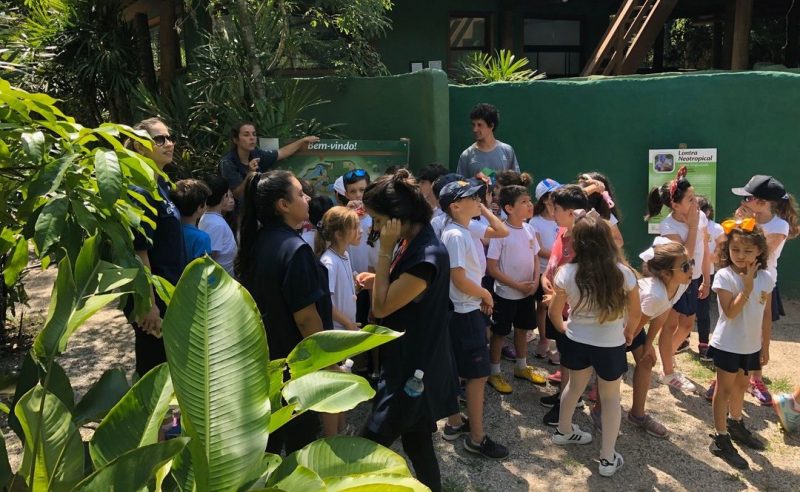 Estudantes da educa&ccedil;&atilde;o infantil visitam o projeto e recebem aula sobre educa&ccedil;&atilde;o ambiental – Foto: Divulga&ccedil;&atilde;o/Redes Sociais/ND