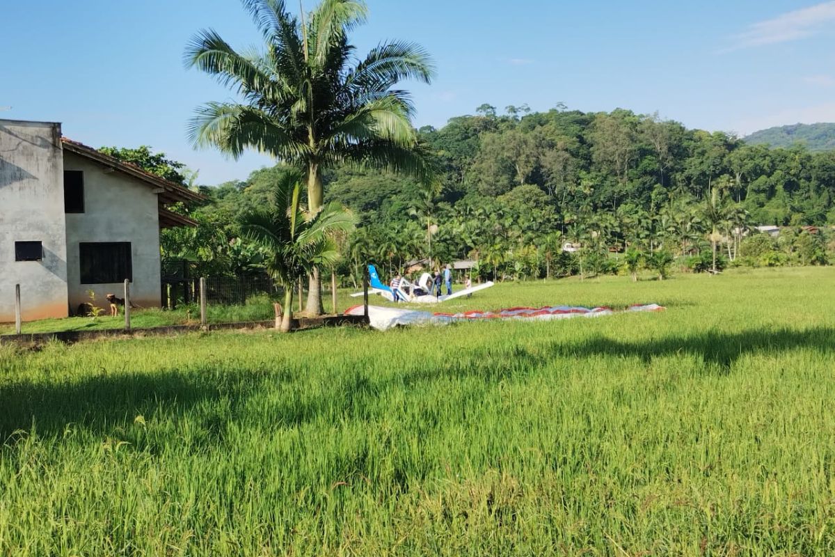 Avião com quatro pessoas caiu em Massaranduba - Internet/Reprodução