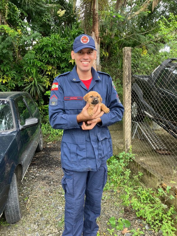 Filhote de cachorro &eacute; resgatado na beira do rio em Trombudo Central – Foto: Corpo de Bombeiros / Reprodu&ccedil;&atilde;o ND