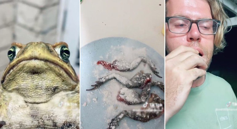 V&Iacute;DEO: Refei&ccedil;&atilde;o bizarra de homem que temperou e comeu sapo-cururu divide opini&otilde;es na internet – Foto: Divulga&ccedil;&atilde;o/TikTok/Reprodu&ccedil;&atilde;o/ND