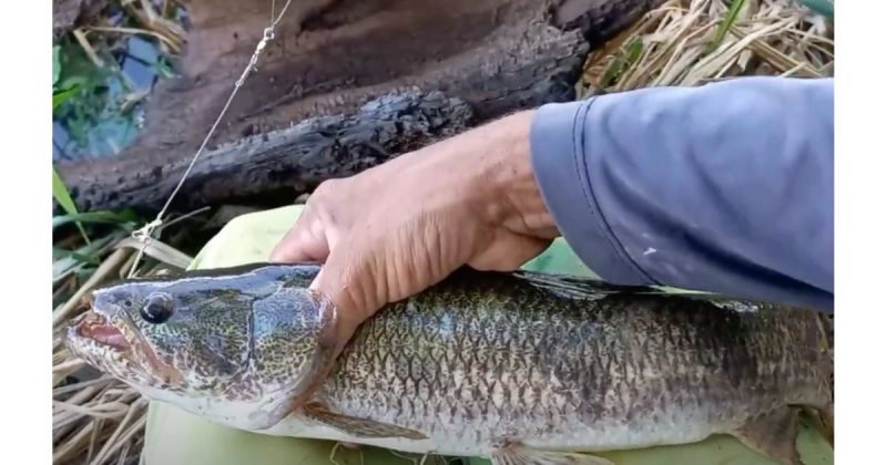 Foto: Reprodu&ccedil;&atilde;o