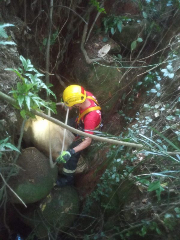 Vaca &eacute; resgatada de um buraco de 5 metros de profundidade em Sang&atilde;o – Foto: Bombeiros Volunt&aacute;rios de Jaguaruna/ivulga&ccedil;&atilde;o/ND