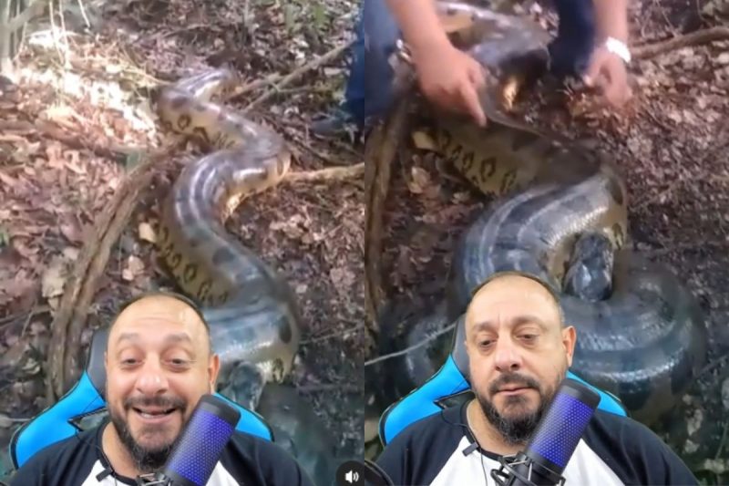 Bi&oacute;logo comentou o caso e falou sobre o tamanho da serpente – Foto: Reprodu&ccedil;&atilde;o/Internet/ND
