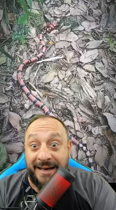 Bi&oacute;logo ficou impactado com o registro raro – Foto: Reprodu&ccedil;&atilde;o/Redes Sociais/ND