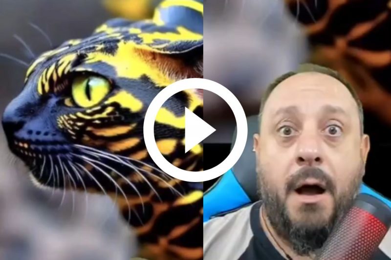 Ap&oacute;s repercuss&atilde;o da imagem, bi&oacute;logo publicou v&iacute;deo falando sobre o suposto animal – Foto: Reprodu&ccedil;&atilde;o/Redes Sociais/ND