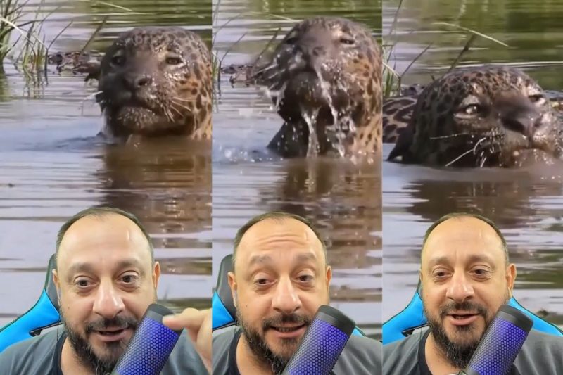 Bi&oacute;logo comentou as cenas incr&iacute;veis do ataque da on&ccedil;a – Foto: Reprodu&ccedil;&atilde;o/Redes Sociais/ND