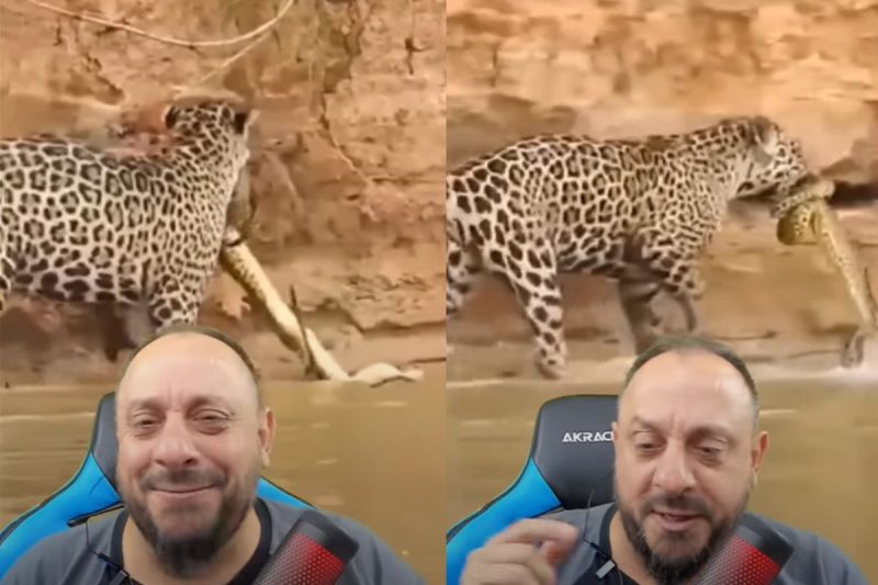 Bi&oacute;logo publicou v&iacute;deo reagindo ao flagrante – Foto: Reprodu&ccedil;&atilde;o/Redes Sociais/ND