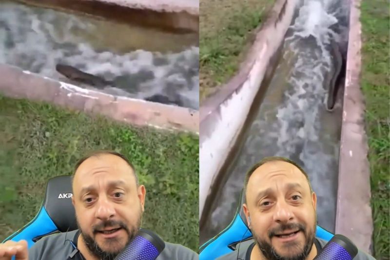 Bi&oacute;logo Henrique Abrah&atilde;o comenta cenas – Foto: Reprodu&ccedil;&atilde;o/Redes Sociais/ND