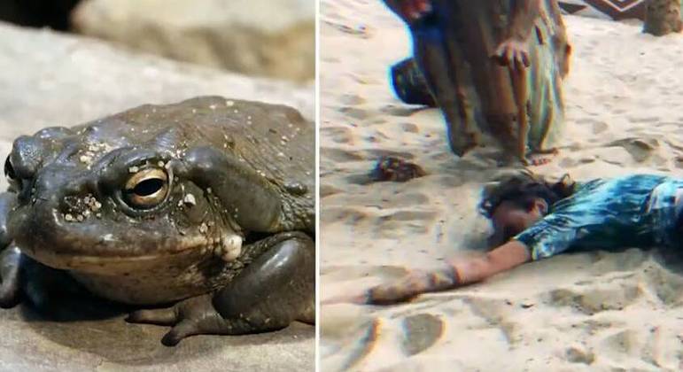 Sapo libera a subst&acirc;ncia como mecanismo de defesa – Foto: Record TV/ Reprodu&ccedil;&atilde;o/ ND