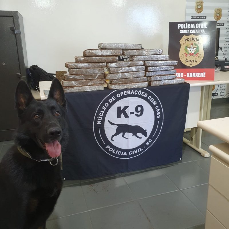 A droga estava em uma mala – Foto: Pol&iacute;cia Civil/Divulga&ccedil;&atilde;o/ND