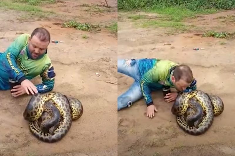 Ele foi filmado fazendo piadas e at&eacute; dando um beijo em uma sucuri. &mdash; Foto: Arquivo Pessoal/Internet/Reprodu&ccedil;&atilde;o