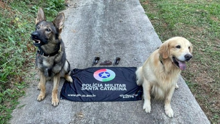 Os cachorros Max e Bar&atilde;o fizeram buscas em torno da casa e encontraram as armas – Foto: PMSC/ Divulga&ccedil;&atilde;o/ ND