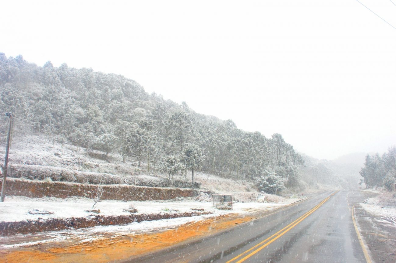 Nevasca no Caminhos da Neve em Santa Catarina Serra pode registrar 5 cm de acumulado de neve em SC