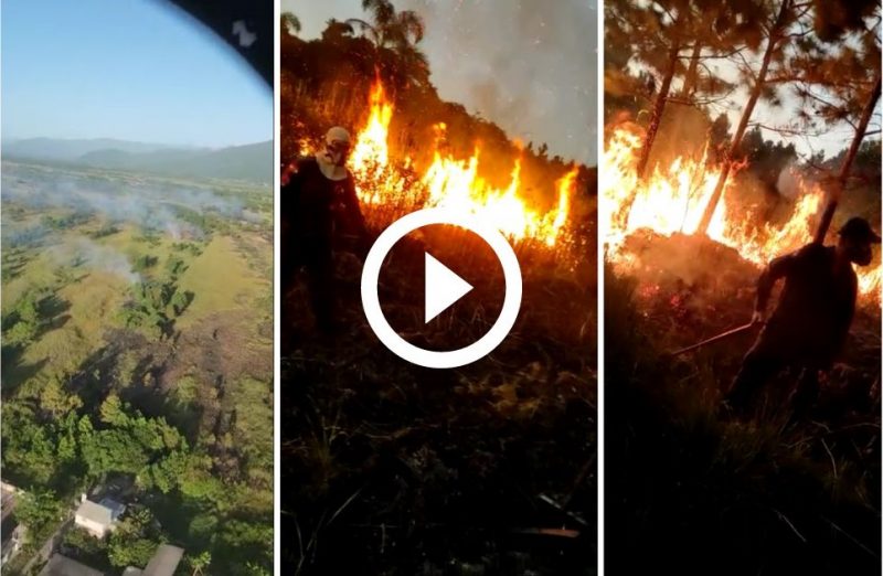 Bombeiros atuam no combate ao fogo pelo segundo dia seguido na Serra do Tabuleiro – Foto: Corpo de Bombeiros/Divulga&ccedil;&atilde;o/ND