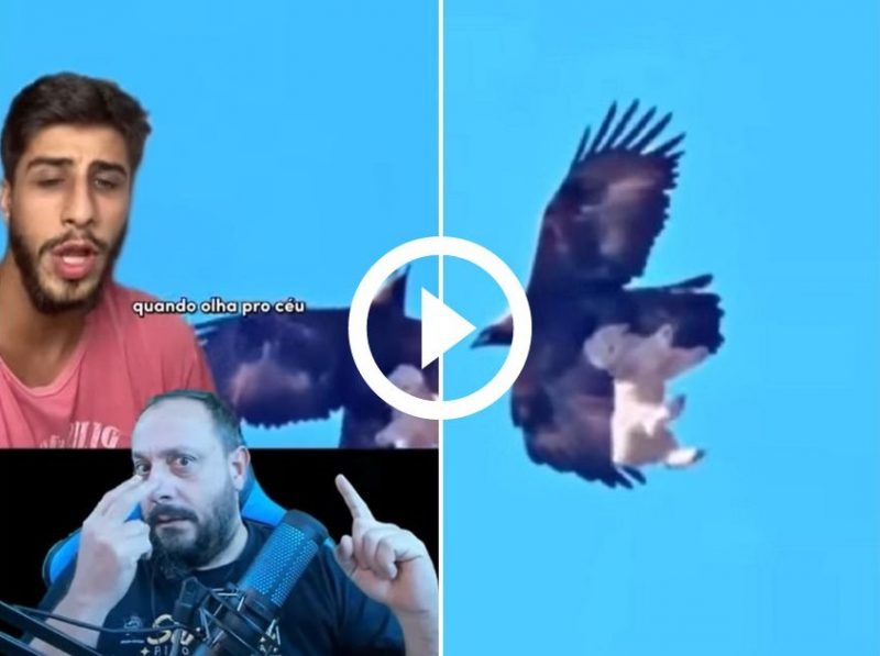 Bi&oacute;logo Henrique comentou flagra de ave de rapina “sequestrando” animal – Foto: @biologohenrique/Instagram/Redes Sociais/ND
