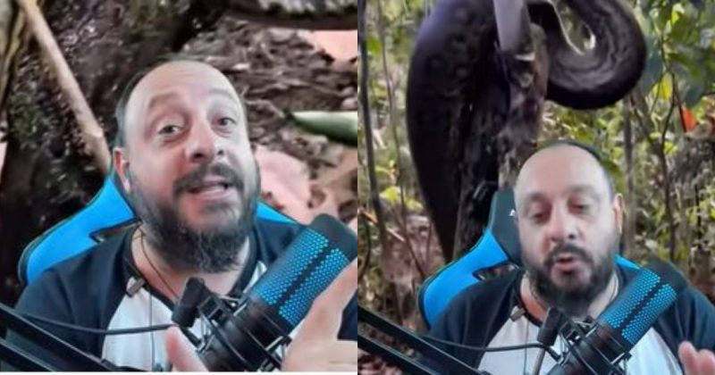 Bi&oacute;logo explica v&iacute;deo de uma sucuri subindo em &aacute;rvore – Foto: Reprodu&ccedil;&atilde;o/ Bi&oacute;logo Henrique o Bi&oacute;logo das Cobras/ND