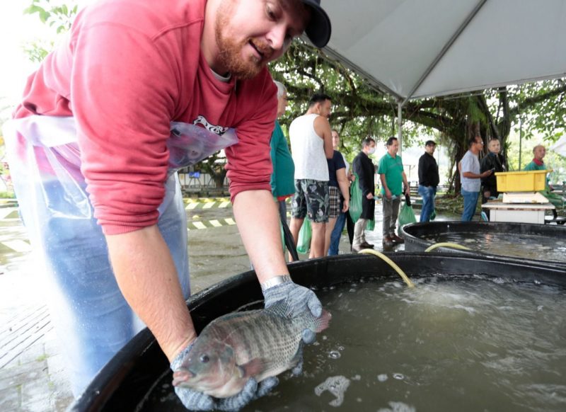 Feira do Peixe Vivo &eacute; op&ccedil;&atilde;o para comprar pescados na Semana Santa em Joinville – Foto: Prefeitura de Joinville/Divulga&ccedil;&atilde;o