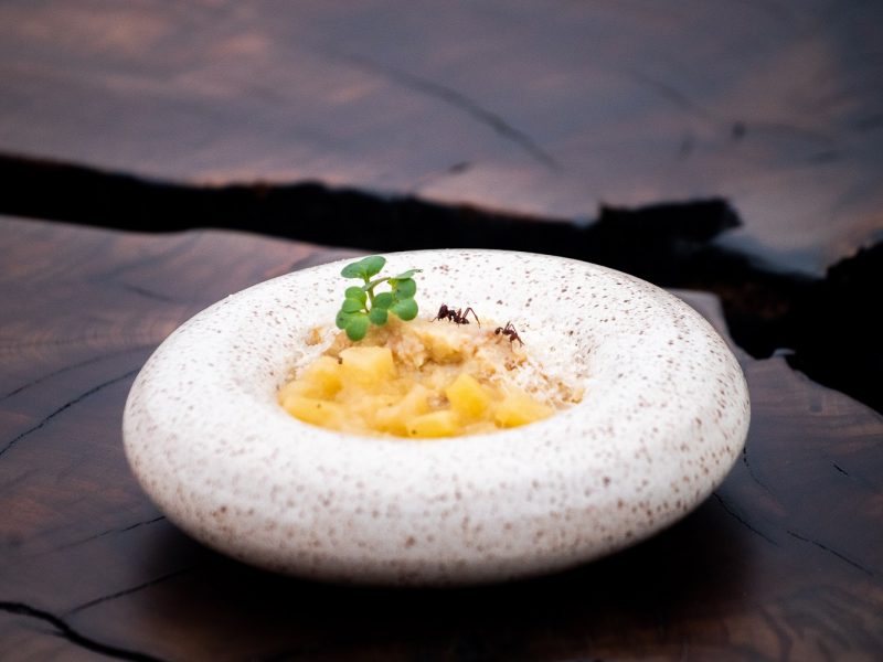 Formiga capim-lim&atilde;o &eacute; servida em sobremesa em restaurante de Florian&oacute;polis – Foto: Divulga&ccedil;&atilde;o/ND