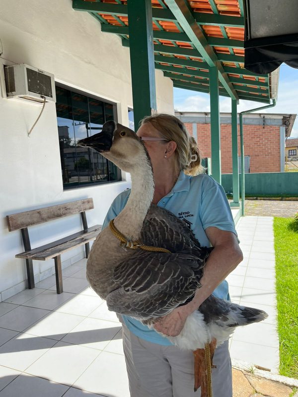 Cena foi flagrada na manh&atilde; desta ter&ccedil;a-feira (04) – Foto: Pol&iacute;cia Civil/Reprodu&ccedil;&atilde;o/ND