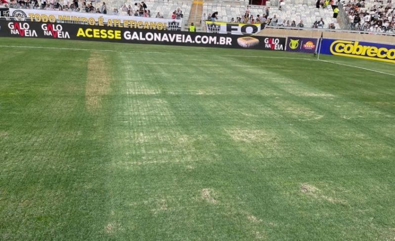 Gramado do estádio do Mineirão