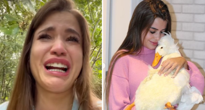 Julia Olympio cried and asked her followers to help find Daffy Duck - Photo: Reproduction / Instagram / ND