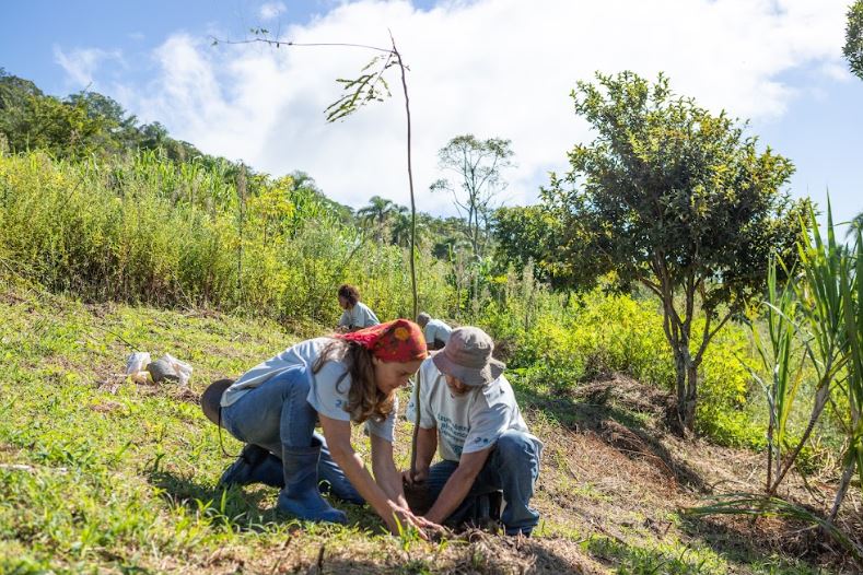 Planta&ccedil;&atilde;o de garapuvu no S&iacute;tio Florbela – Foto: Diogo Machado/Especial para o ND
