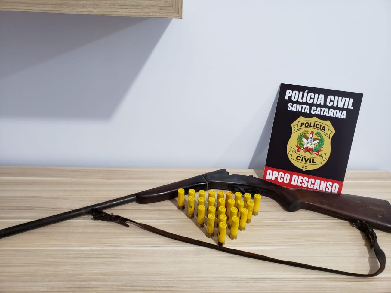 Ao todo foram cumpridos 162 mandados judiciais. - Polícia Civil/Reprodução/ND