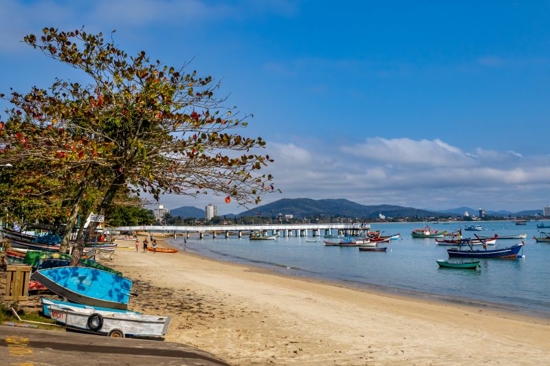 Praia da Armação do Itapocorói, em Penha. Do lado esquerdo da foto, aparece uma faixa de areia dourada com uma árvore e do lado direito o mar com alguns barcos coloridos de pescadores. Ao fundo um extenso trapiche que avança pelo mar e morros verdes.