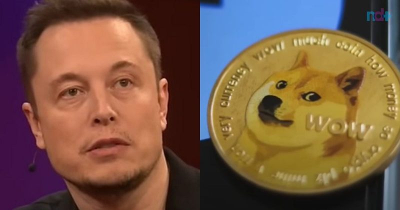 Elon Musk alterou o s&iacute;mbolo do Twiiter na &uacute;ltima segunda (3) – Foto: Reprodu&ccedil;&atilde;o/ ND