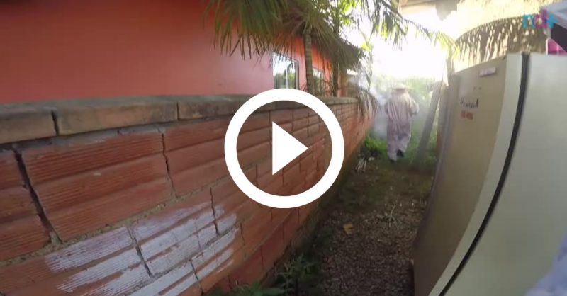 Durante a opera&ccedil;&atilde;o, os bombeiros volunt&aacute;rios contaram com o apoio de um apicultor parceiro da corpora&ccedil;&atilde;o – Foto: Corpo de Bombeiros Volunt&aacute;rios / Reprodu&ccedil;&atilde;o ND