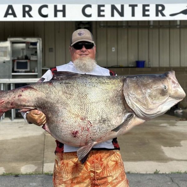Tamanho de peixe impressiona 