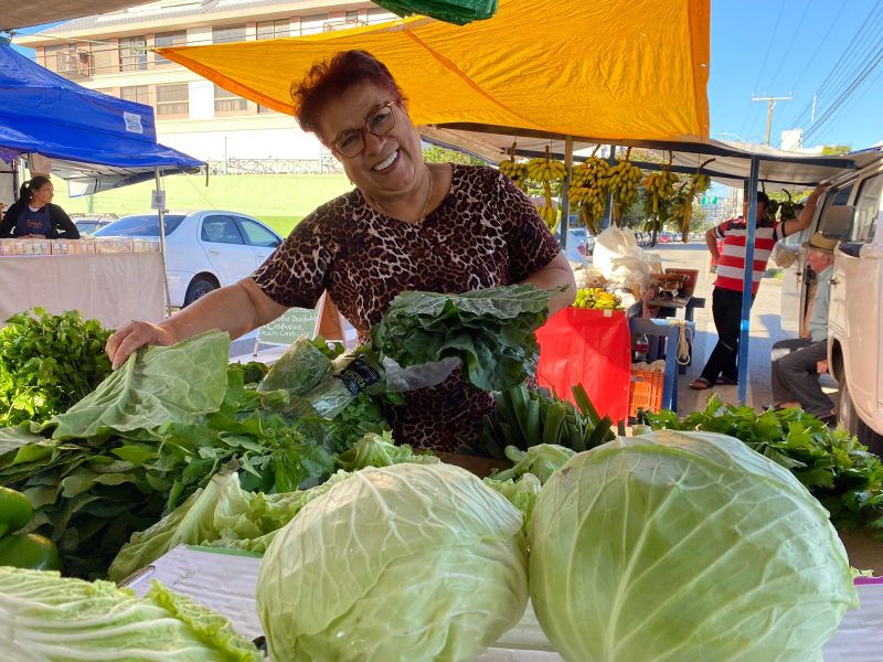 A funcion&aacute;ria p&uacute;blica aposentada Danusa Goes, 67 anos, &eacute; cliente ass&iacute;dua da feira do Balne&aacute;rio do Estreito, em Florian&oacute;polis – Foto: Windson Prado/ND