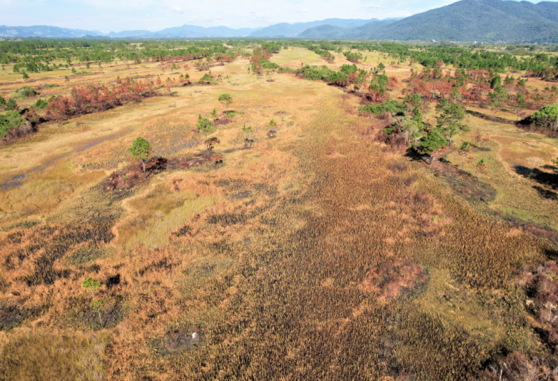 incêndio na Serra do Tabuleiro, na Grande Florianópolis, teve impactos financeiros