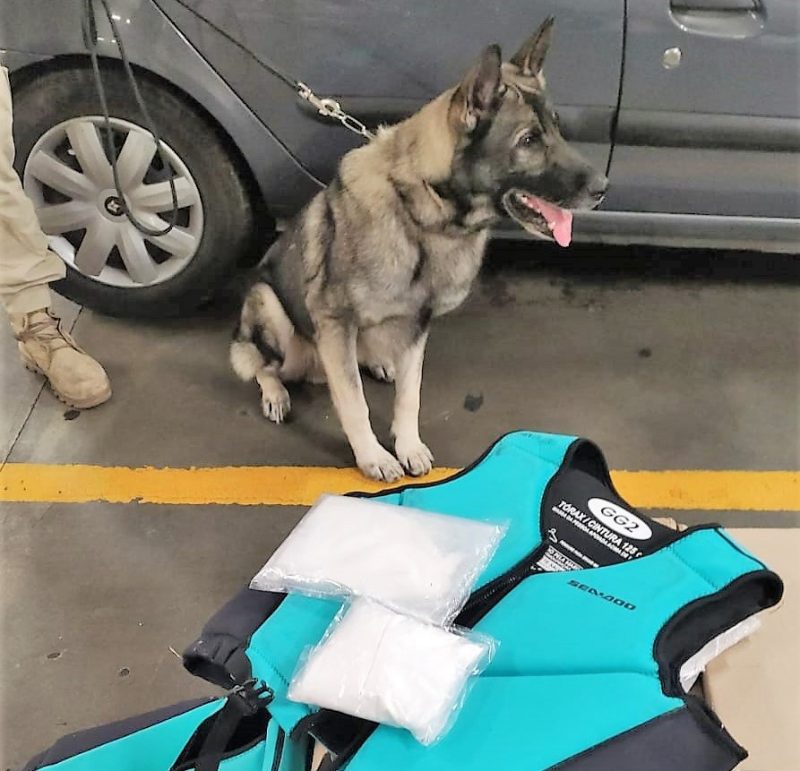 A casa caiu para a dupla de Itajaí detidos por tráfico de drogas 